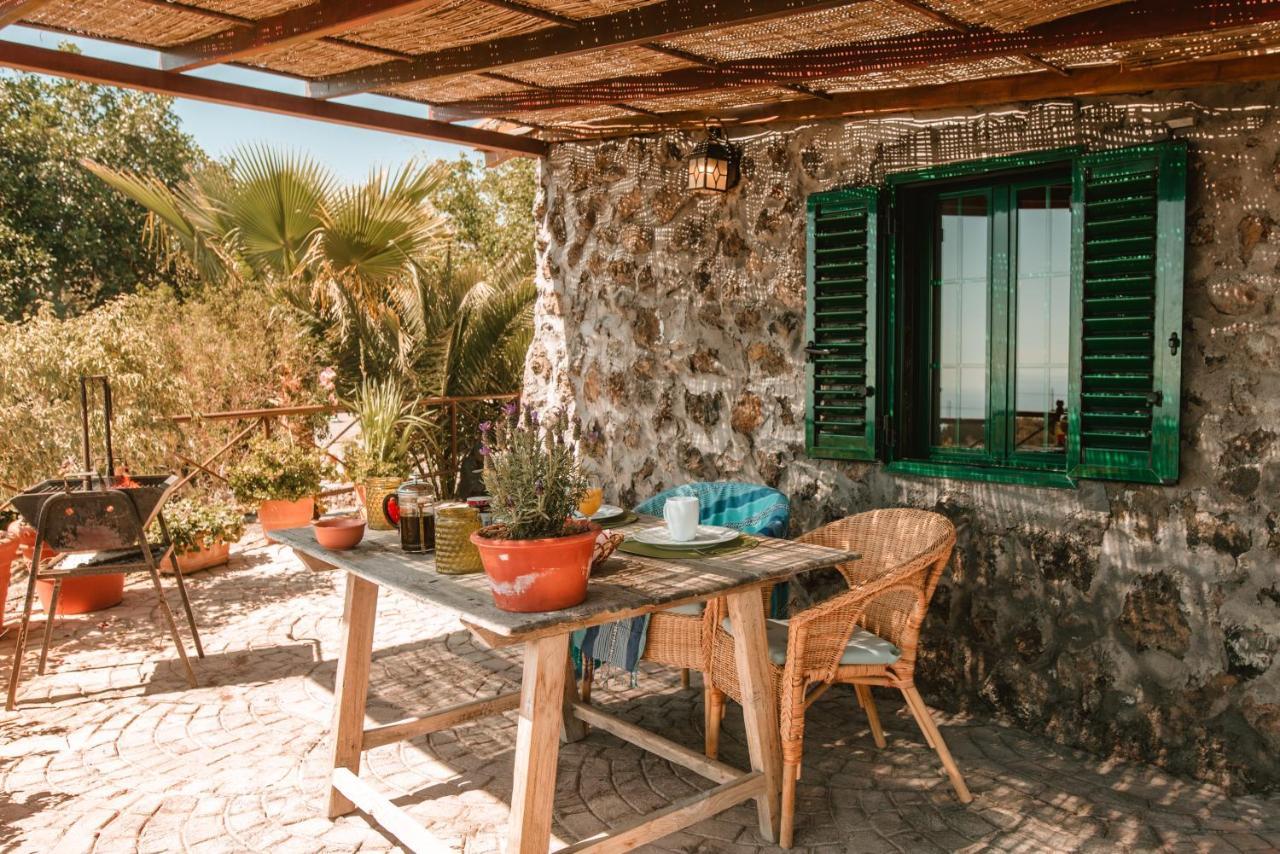 Finca Los Llanitos غيا ذي إسورا المظهر الخارجي الصورة