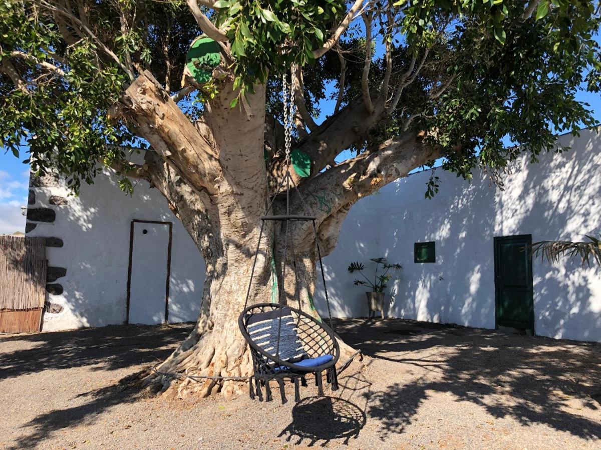 Finca Los Llanitos غيا ذي إسورا المظهر الخارجي الصورة