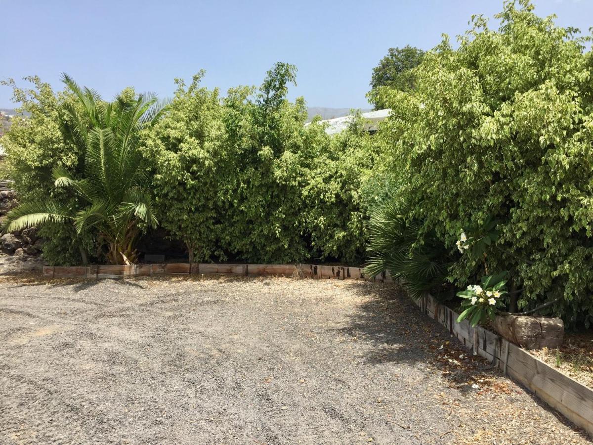 Finca Los Llanitos غيا ذي إسورا المظهر الخارجي الصورة